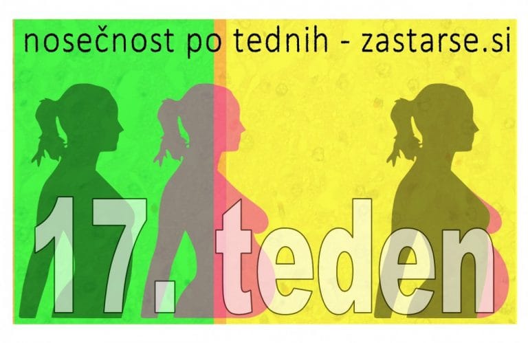 17. teden nosečnosti