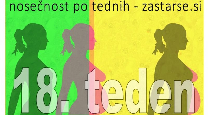 18. teden nosečnosti