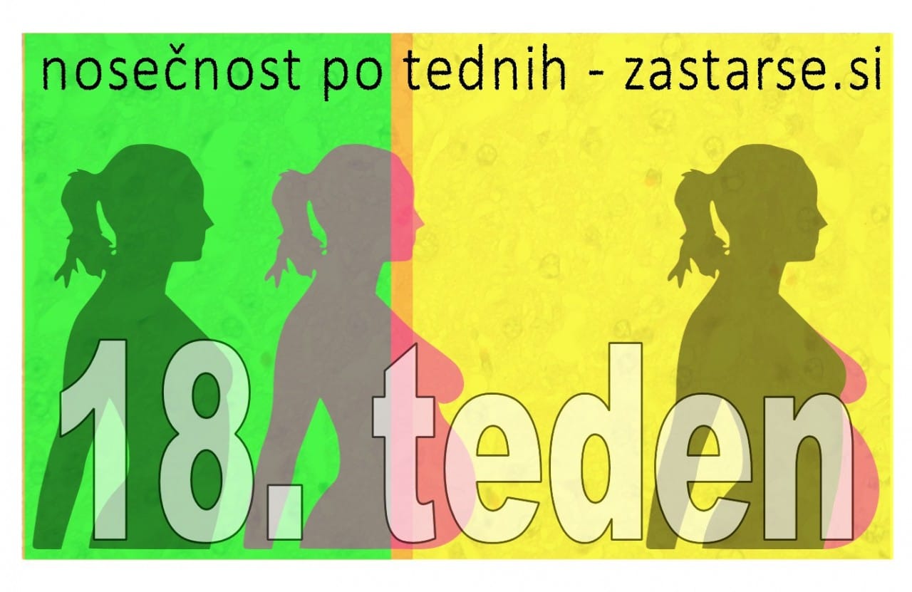 18. teden nosečnosti