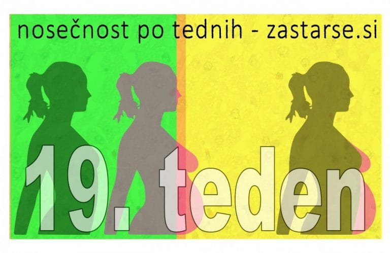 19. teden nosečnosti