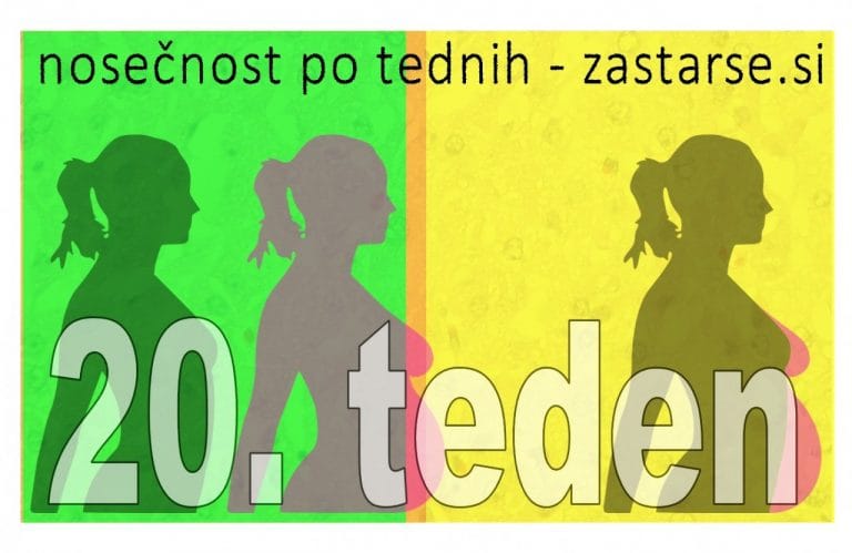 20. teden nosečnosti