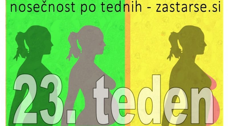 23. teden nosečnosti