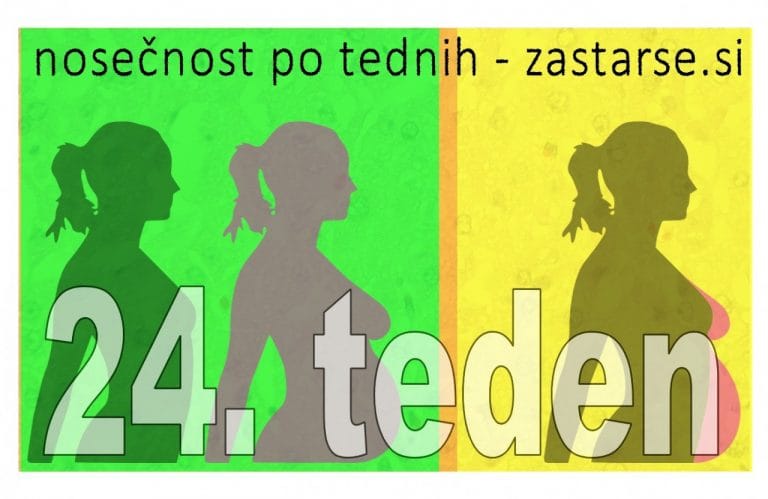 24. teden nosečnosti