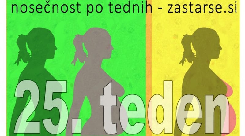 25. teden nosečnosti