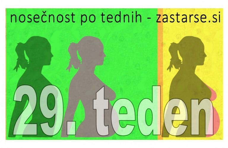 29. teden nosečnosti