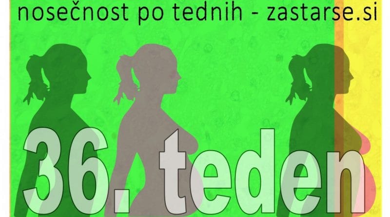 36. teden nosečnosti