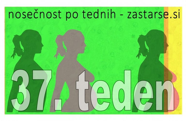 37. teden nosečnosti