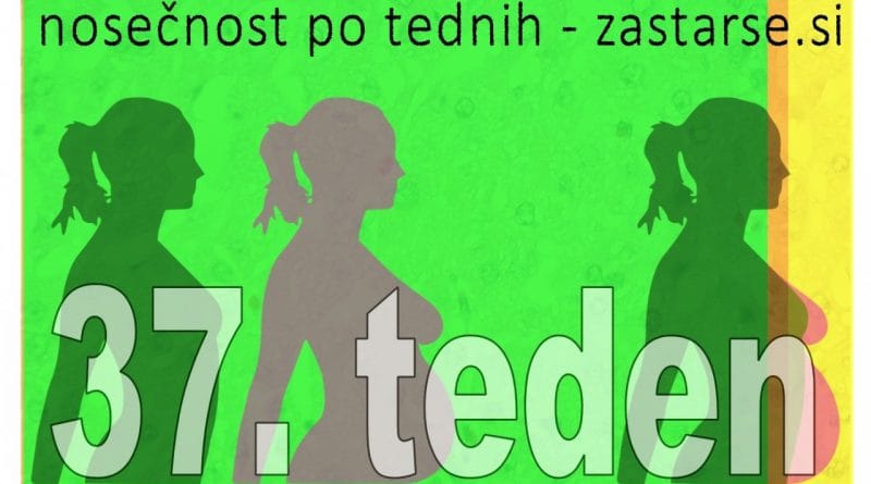 37. teden nosečnosti