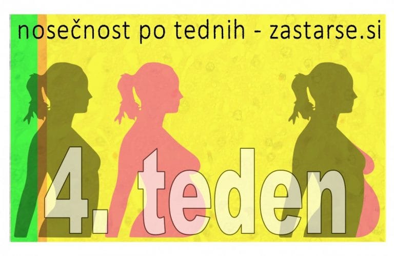Nosečnost po tednih - 4. teden