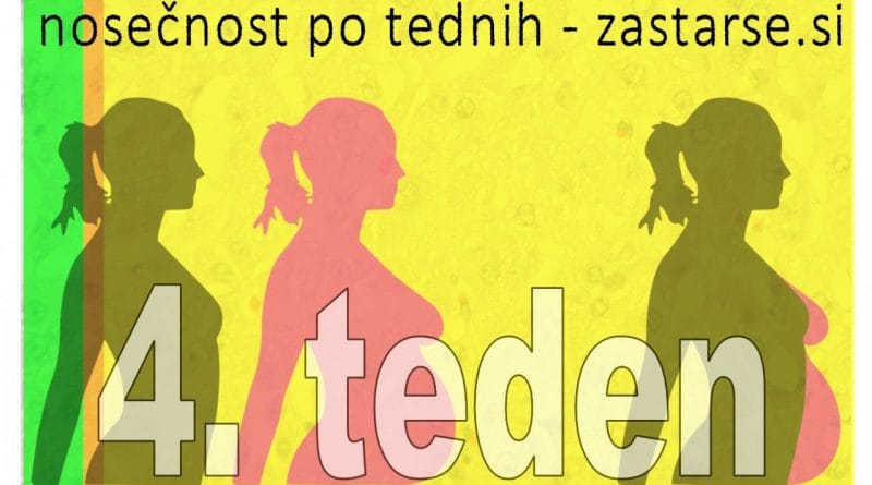 Nosečnost po tednih - 4. teden