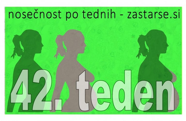 42. teden nosečnosti