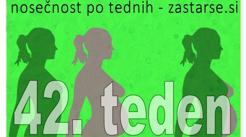 42. teden nosečnosti