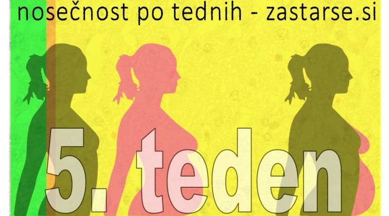 Nosečnost po tednih - 5.teden