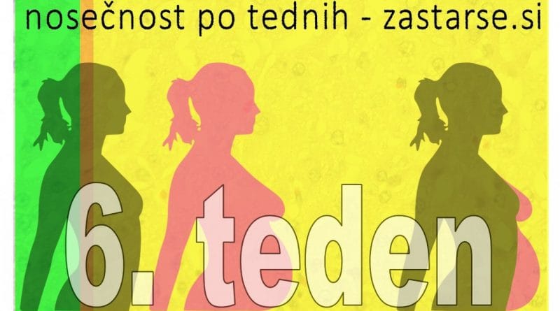 Nosečnost po tednih - 6.teden