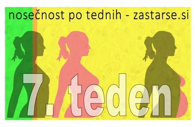 Nosečnost po tednih - 7.teden