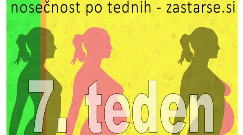 Nosečnost po tednih - 7.teden