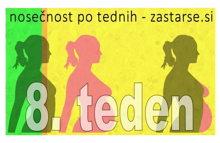 Nosečnost po tednih - 8. teden