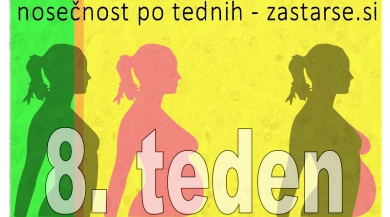 Nosečnost po tednih - 8. teden