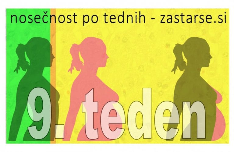 Nosečnost po tednih - 9. teden