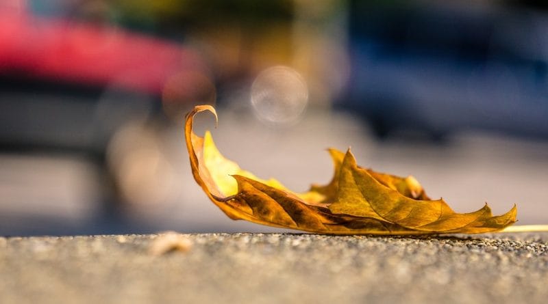10 stvari, ki jih otroci ločenih staršev želijo povedati svojim staršem