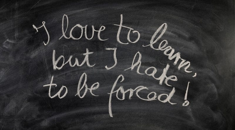 Spoštujte vzgojitelje in učitelje, oni namreč vtirajo najpomembnejše poti