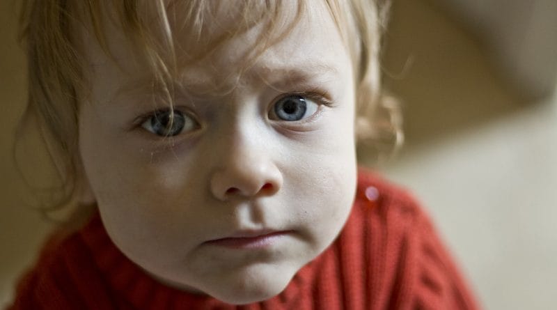 Malčki in samokontrola: starševski priročnik za preživetje