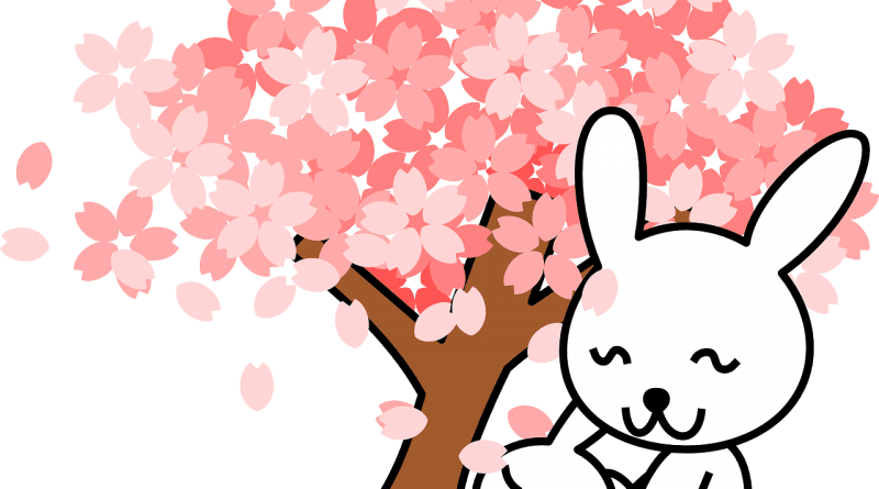 Zgodba o Peterčku Zajcu - pravljica za lahko noč