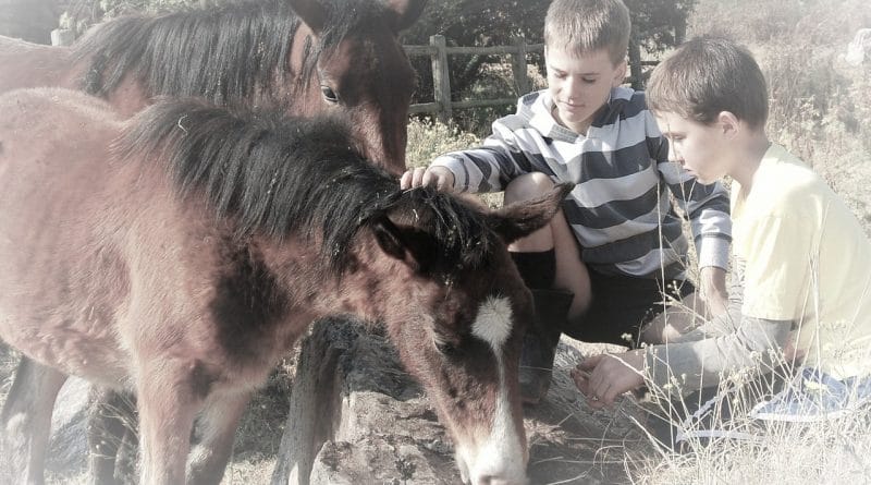 Naučite otroka izbirati prave prijatelje