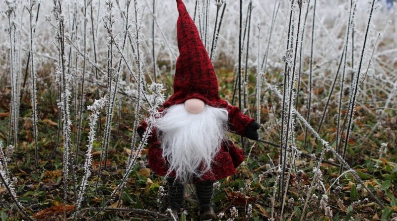 Špicparkeljc - Pravljica za lahko noč