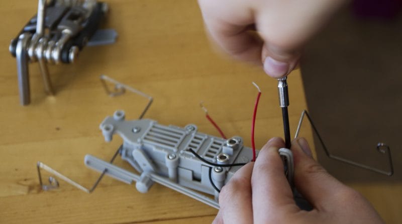 Zakaj je zagrizenost ena od najpomembnejših kvalitet za zgodnji uspeh