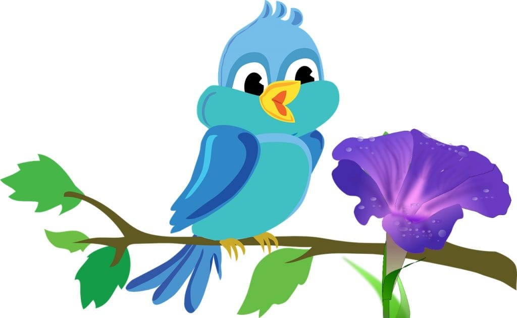 Zakaj se slak vzpenja