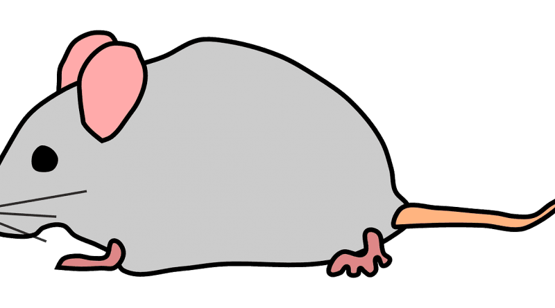 Zgodba gospodične Titke Miške