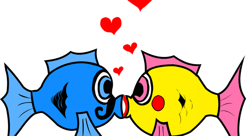 Dekle, ki je ljubilo ribo