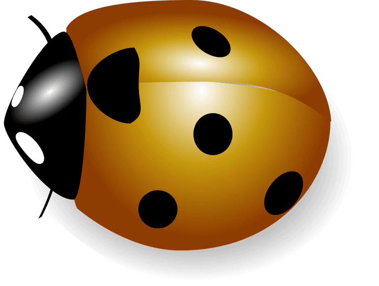 Rumena pikapolonica Lara