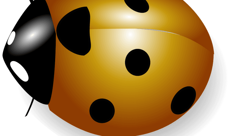 Rumena pikapolonica Lara