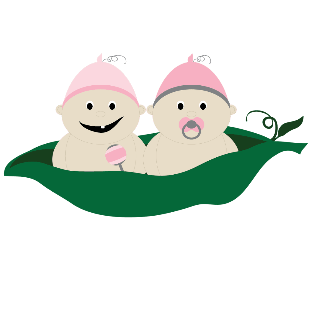 Brata dvojčka - pravljica za lahko noč