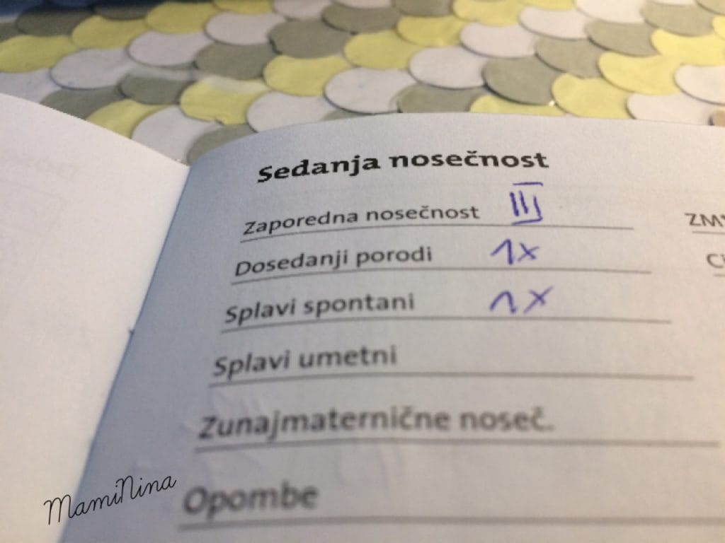 Nosečniški dnevnik 2: Tretji nosečniški pregled