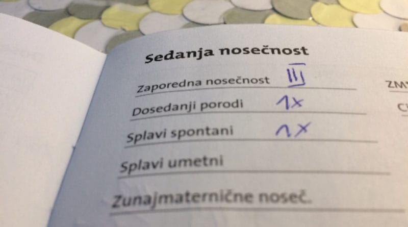Nosečniški dnevnik 2: Tretji nosečniški pregled
