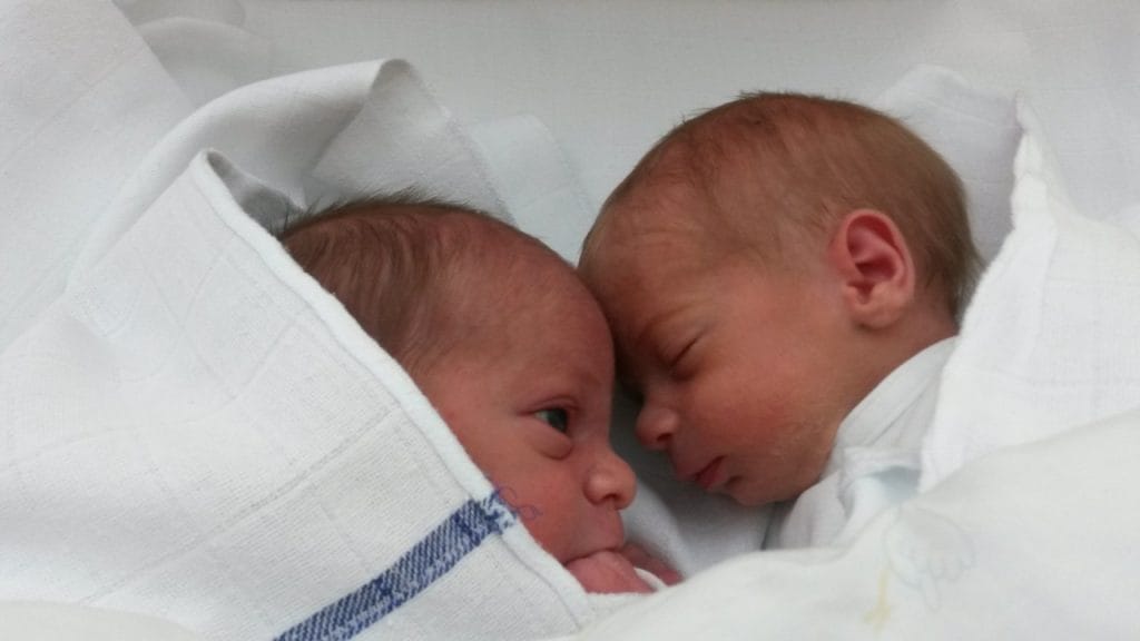 Kako preživeti prvo leto z dvojčki