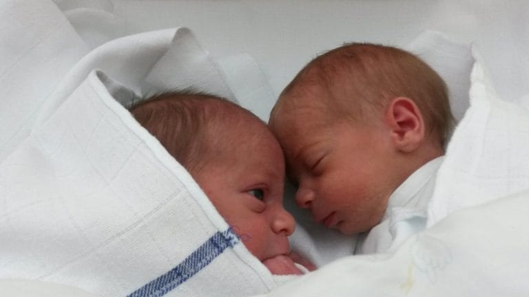 Kako preživeti prvo leto z dvojčki