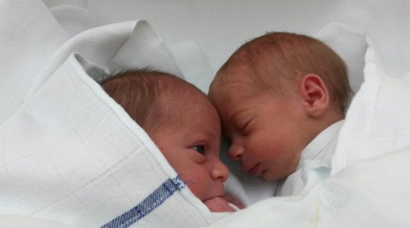 Kako preživeti prvo leto z dvojčki