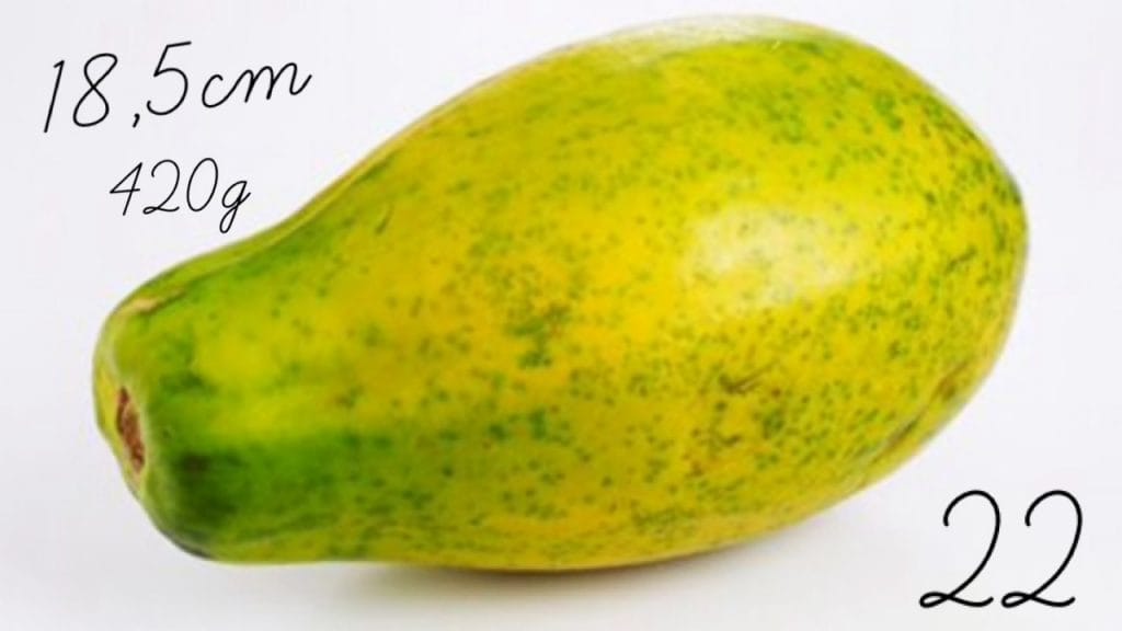 Nosečniški dnevnik 2: 22. teden nosečnosti