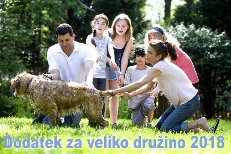 Dodatek za veliko družino 2018
