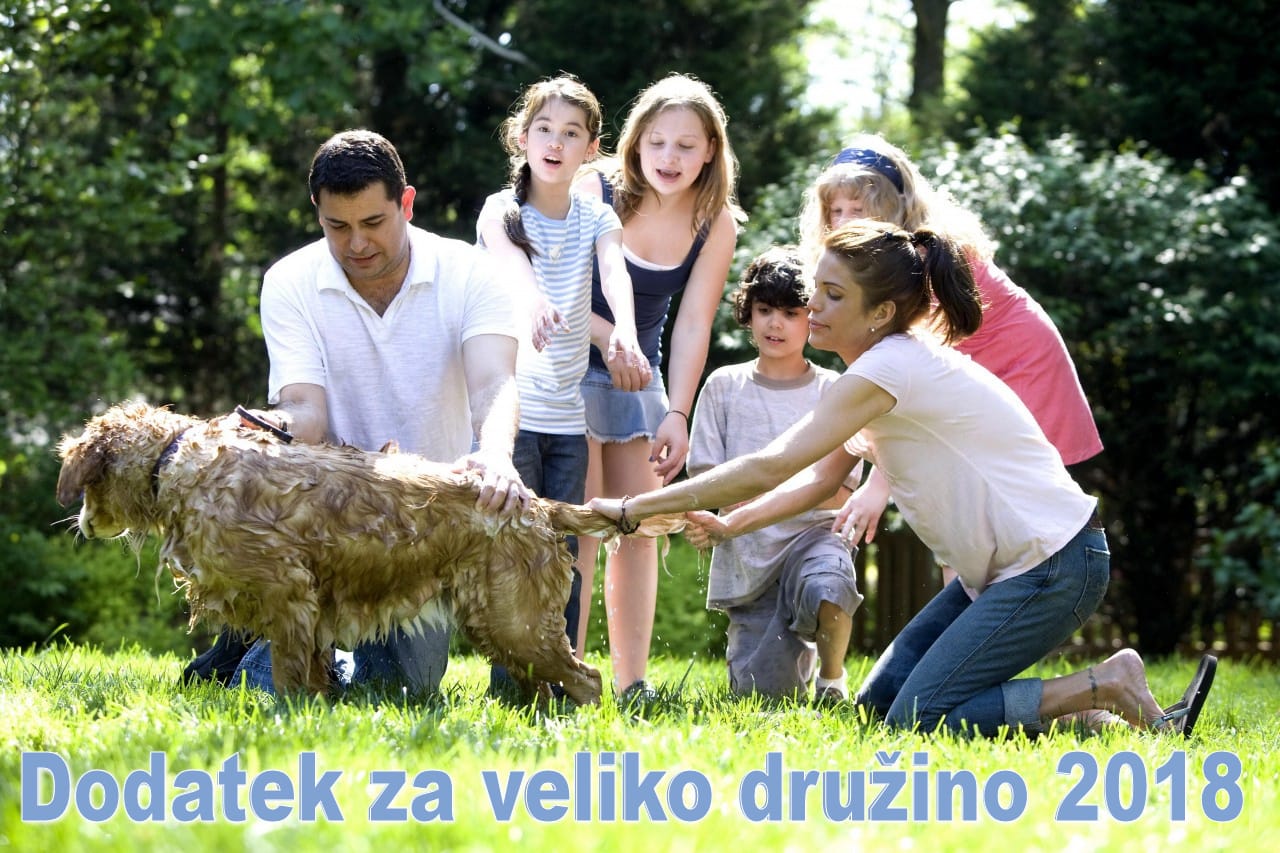 Dodatek za veliko družino 2018