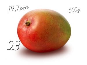 Nosečniški dnevnik 2: 23. teden nosečnosti