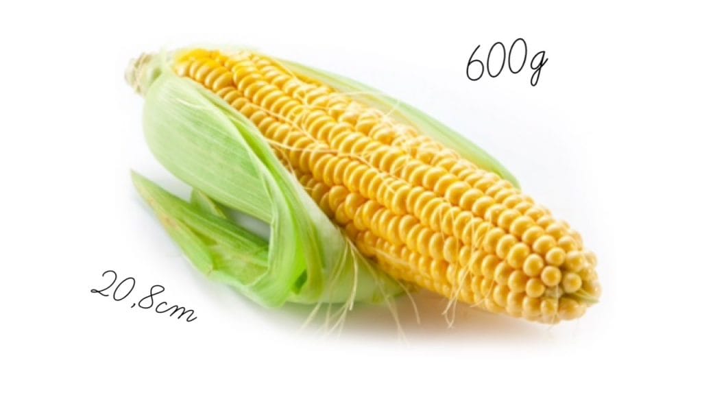 Nosečniški dnevnik 2: 24. teden nosečnosti