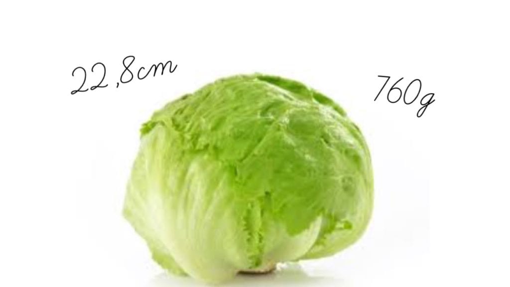 Nosečniški dnevnik 2: 26. teden nosečnosti