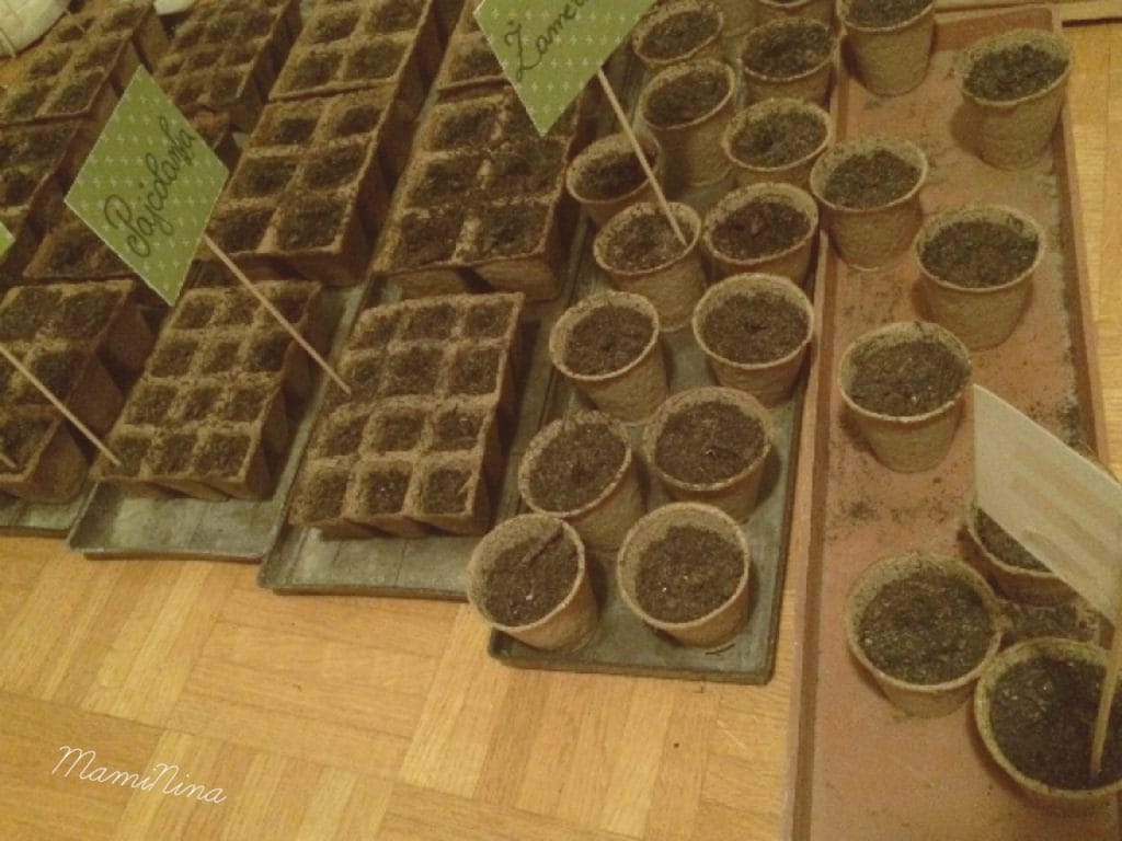 Nosečniški dnevnik 2: 26. teden nosečnosti