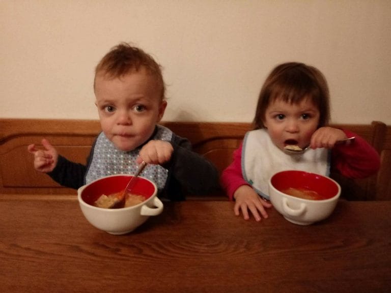 Uvajanje goste hrane pri dvojčkih