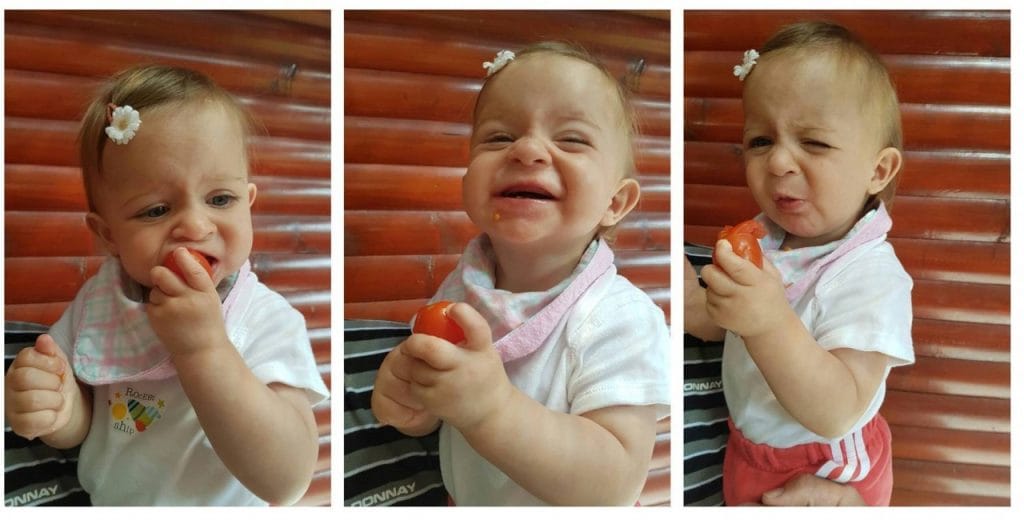 Uvajanje goste hrane pri dvojčkih